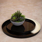 Set of Two Black and White Ombre Trays