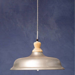 Small Pendant Light with Zinc Finish