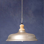 Small Pendant Light with Zinc Finish