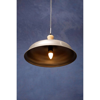 Small Pendant Light with Zinc Finish