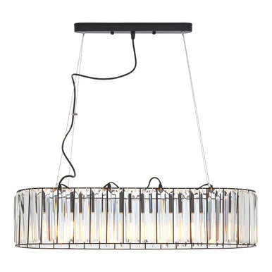 Black Finish and Glass 4 Bulb Pendant Light