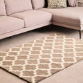 Brown and Natural Rug