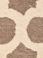Brown and Natural Rug