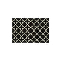 Black and White Rug
