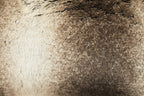 Mocha Ombre Rectangular Faux Fur Cushion