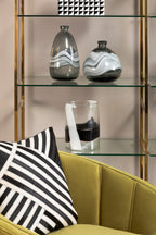Black and White Hair on Leather Cushion