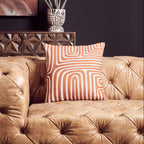 Rust And White Cushion