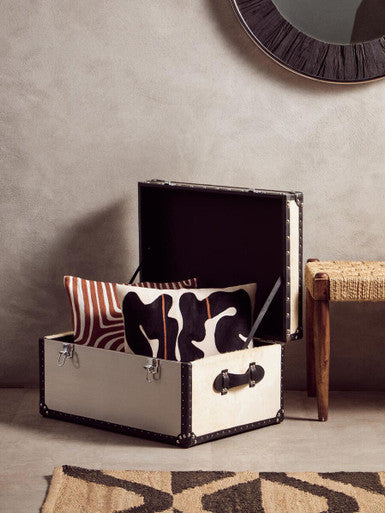 Black And Beige Cushion