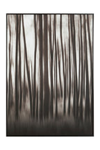 Black and Natural Abstract Blur Wall Art
