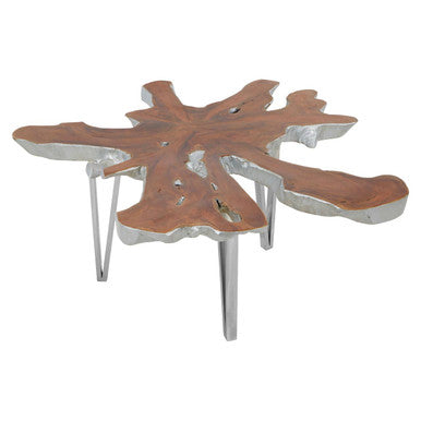 Silver Teak Wood Star Top Coffee Table with Steel Legs