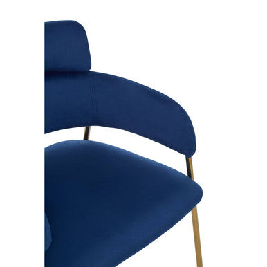 Blue Velvet Dining Chair
