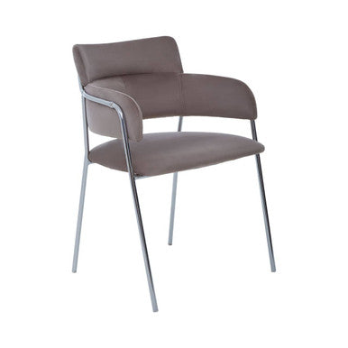 Mink Velvet Dining Chair