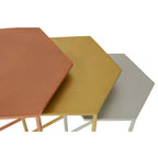 Nest of 3 Assorted Hexagonal Nesting Table with Metallic Tops