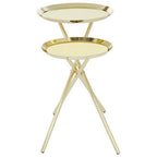Gold Chrome Finish Frame Side Table with Metallic Plates Top