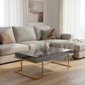 Grey Mirrored and Gold Finish Coffee Table