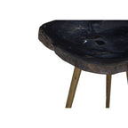 Dark Petrified Wood and Brass Finish Beveled Edge Side Table