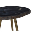 Dark Petrified Wood and Brass Finish Beveled Edge Side Table
