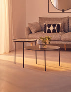 Clear Glass and Black Finish 2 Tier Coffee Table