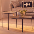 Clear Glass and Black Finish 2 Tier Coffee Table