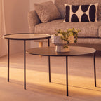 Clear Glass and Black Finish 2 Tier Coffee Table