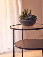 Clear Glass and Black Finish 2 Tier Side Table