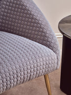 Grey Velvet Statement Chair with Gold Finish Legs