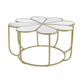 Mirrored Top Petal Design Coffee Table