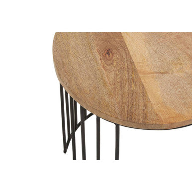 Natural Mango Wood and Black Finish Set of 2 Side Tables