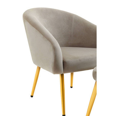Mink Velvet Chair and Footstool with Gold Powder Coated Legs