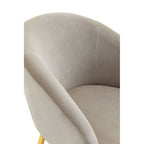 Mink Velvet Chair and Footstool with Gold Powder Coated Legs