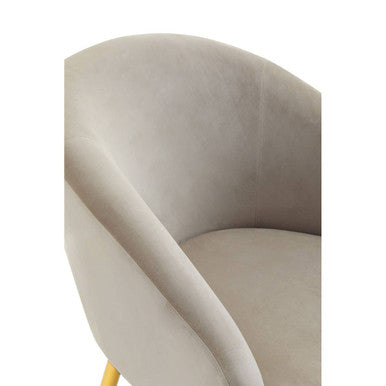 Mink Velvet Chair and Footstool with Gold Powder Coated Legs