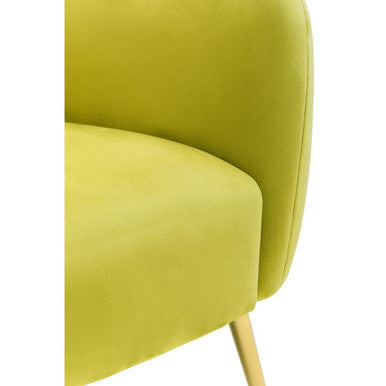 Olive Velvet Armchair with Gold Finish Metal Legs