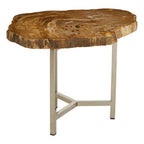 Natural Small Rustic Petrified Wood Top Side Table with Silver Finish Metal Frame