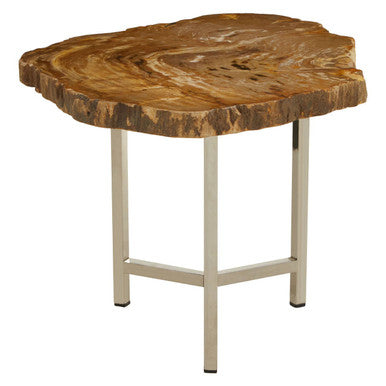Natural Small Rustic Petrified Wood Top Side Table with Silver Finish Metal Frame