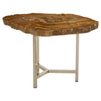 Natural Small Rustic Petrified Wood Top Side Table with Silver Finish Metal Frame