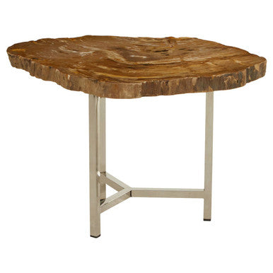 Natural Small Rustic Petrified Wood Top Side Table with Silver Finish Metal Frame