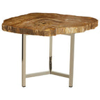 Natural Small Rustic Petrified Wood Top Side Table with Silver Finish Metal Frame