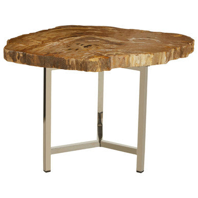 Natural Small Rustic Petrified Wood Top Side Table with Silver Finish Metal Frame