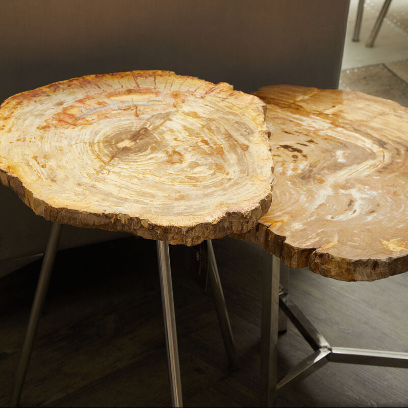 Natural Small Rustic Petrified Wood Top Side Table with Silver Finish Metal Frame