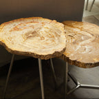 Natural Small Rustic Petrified Wood Top Side Table with Silver Finish Metal Frame