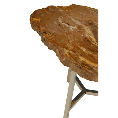 Natural Small Rustic Petrified Wood Top Side Table with Silver Finish Metal Frame