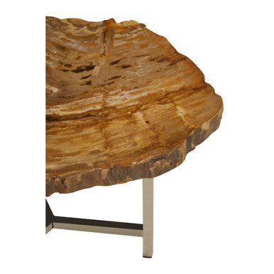 Natural Small Rustic Petrified Wood Top Side Table with Silver Finish Metal Frame