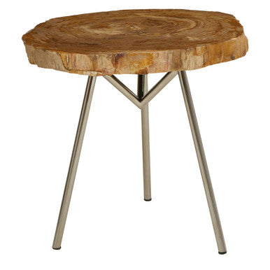 Natural Medium Rustic Petrified Wood Top Side Table with Silver Finish Metal Frame