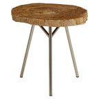 Natural Medium Rustic Petrified Wood Top Side Table with Silver Finish Metal Frame