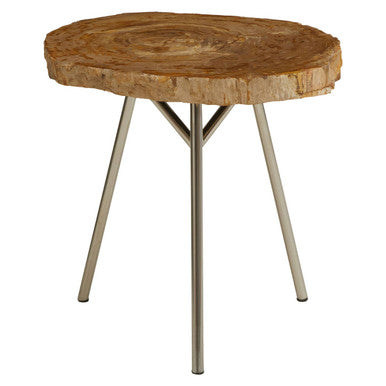Natural Medium Rustic Petrified Wood Top Side Table with Silver Finish Metal Frame