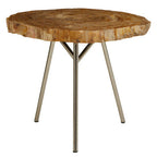Natural Medium Rustic Petrified Wood Top Side Table with Silver Finish Metal Frame