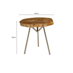Natural Medium Rustic Petrified Wood Top Side Table with Silver Finish Metal Frame