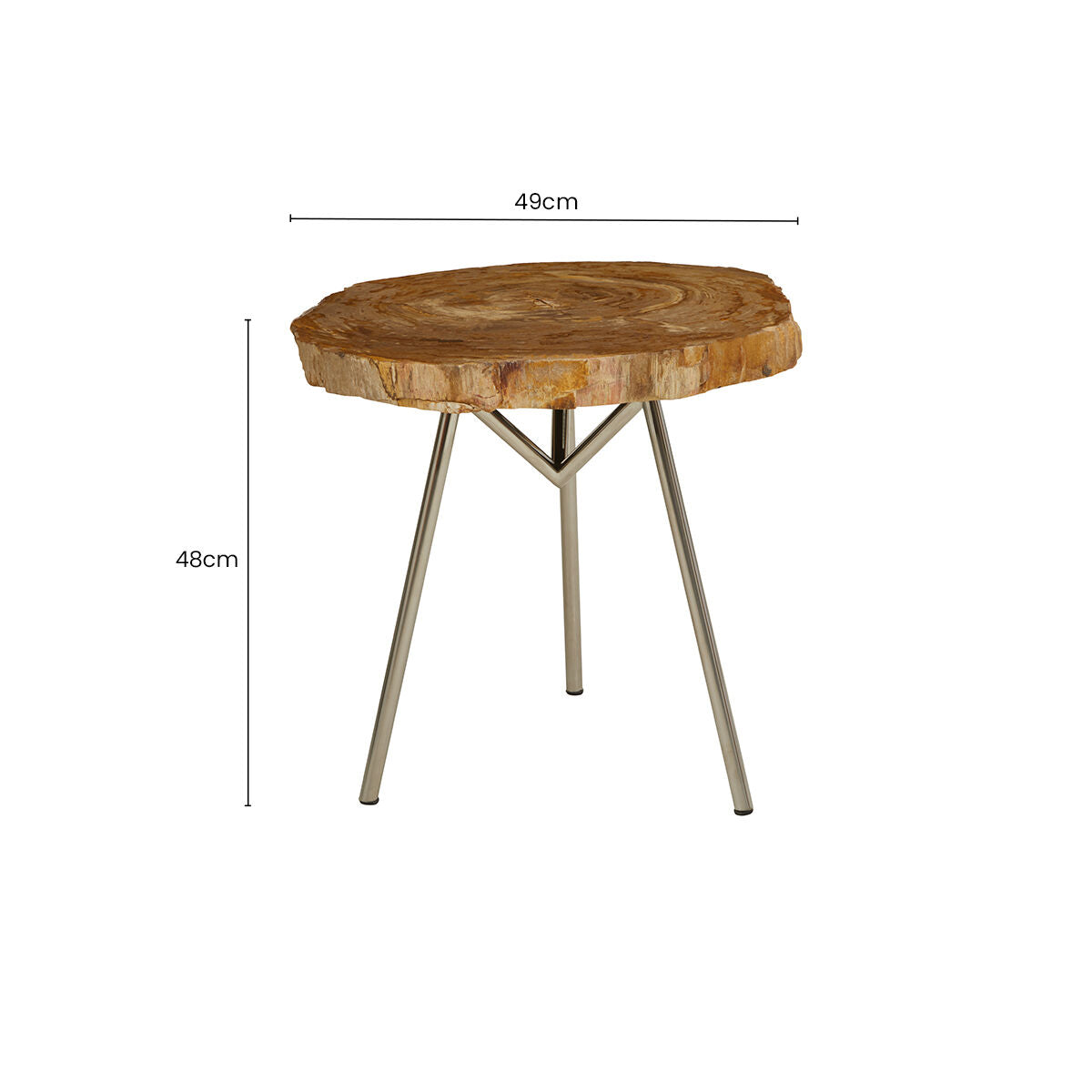 Natural Medium Rustic Petrified Wood Top Side Table with Silver Finish Metal Frame