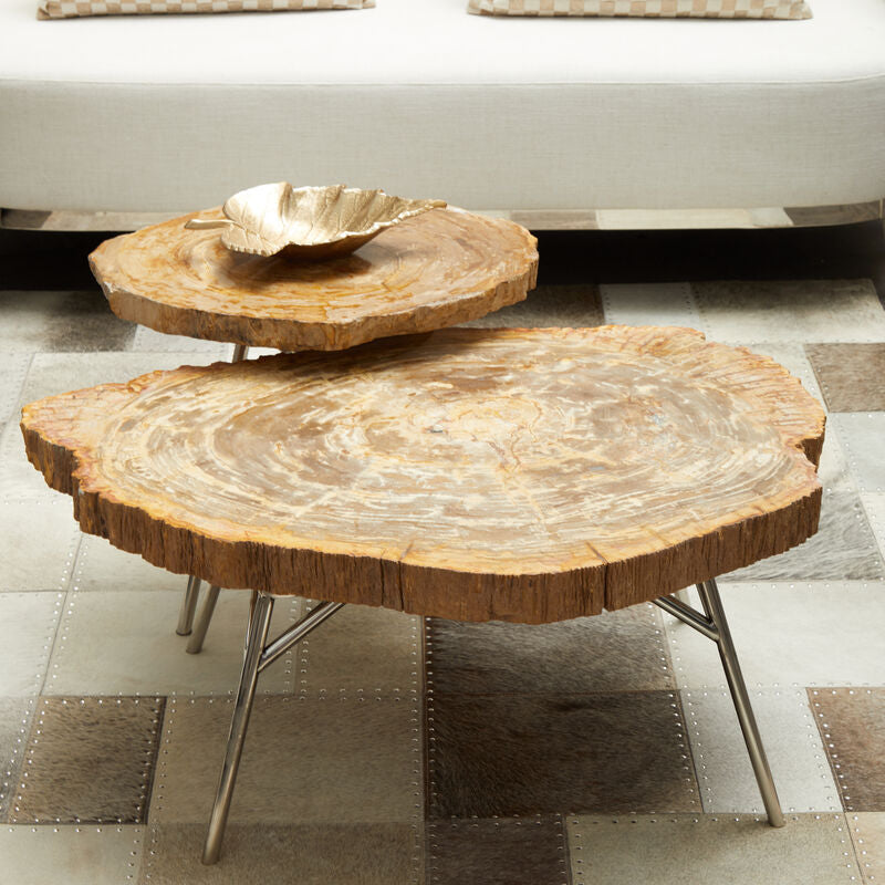 Natural Medium Rustic Petrified Wood Top Side Table with Silver Finish Metal Frame