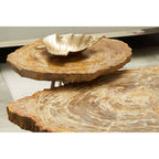 Natural Medium Rustic Petrified Wood Top Side Table with Silver Finish Metal Frame